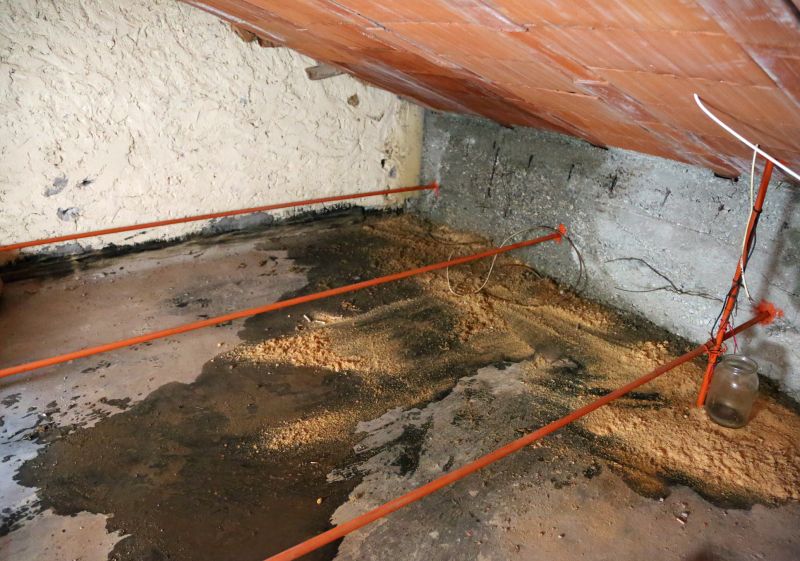 Leaking Ceiling Repair in Charleston, SC