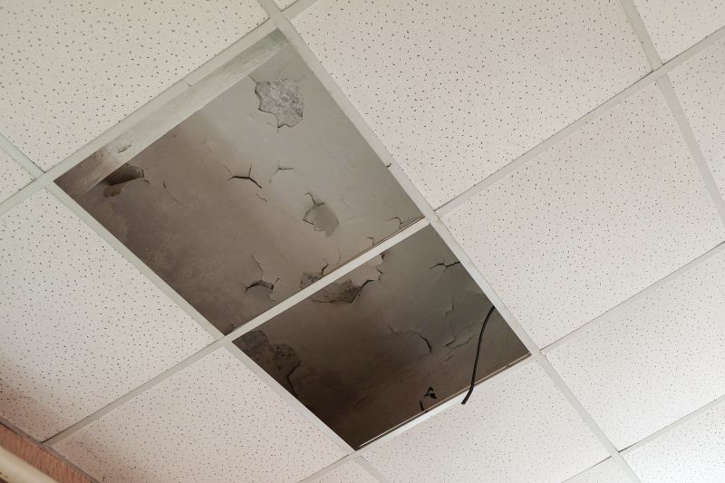 Ceiling Removal Service in Santa Rosa, CA