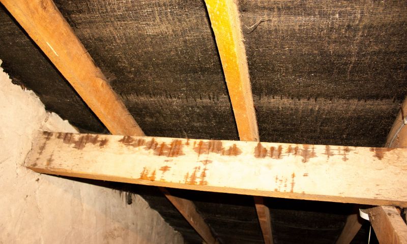 Leaking Ceiling Repair in Alpharetta, GA